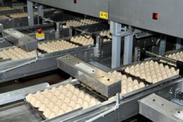 Stelian Fuia: Nu vom avea o criză a ouălor de Paşte